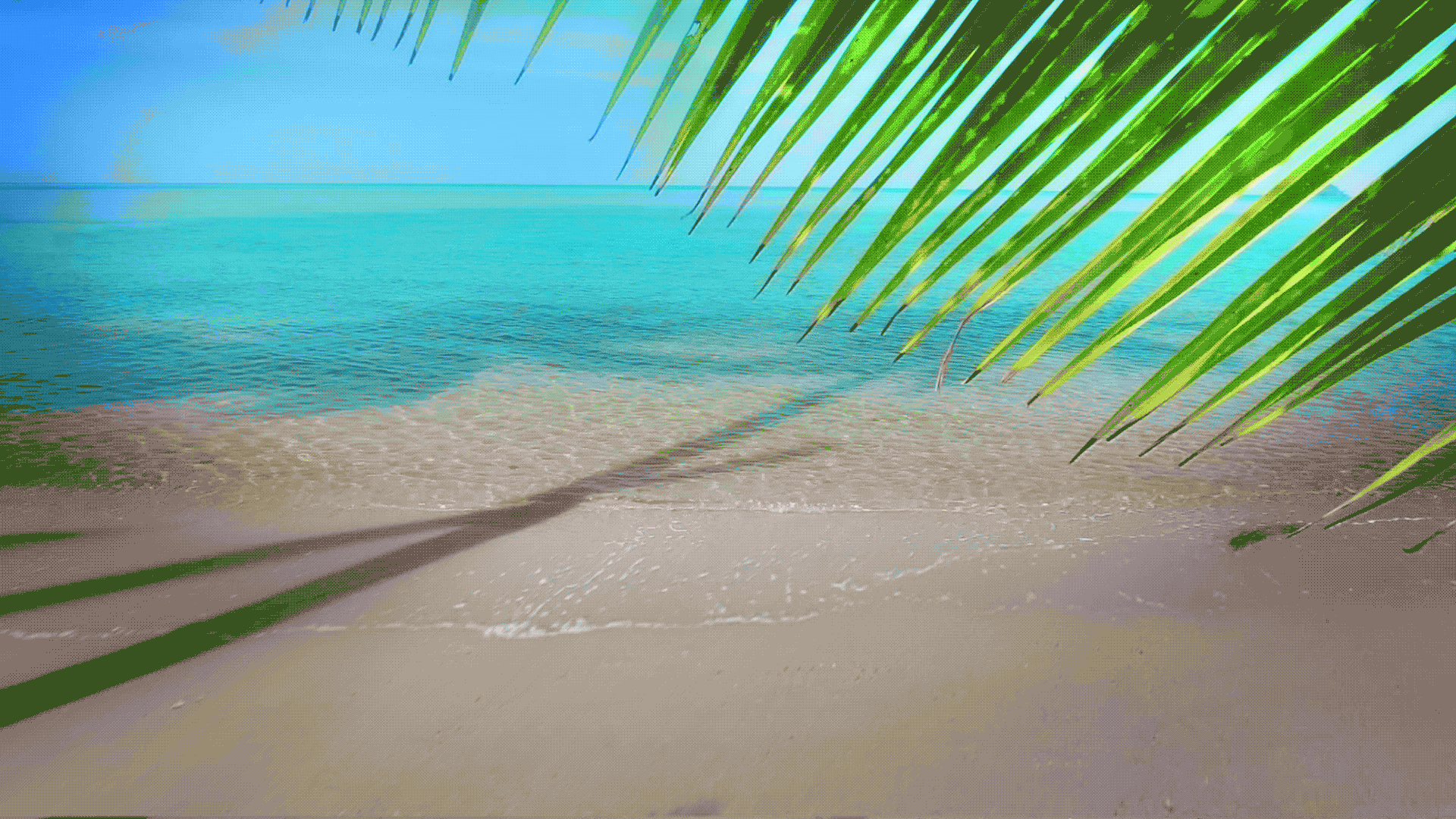 animated video of the ocean waves and palm trees moving