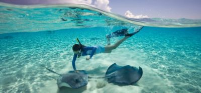 beach vacations snorkeling sting rays 01?$bgv hero main$&crop=0,169,2290,1055&anchor=1145,696