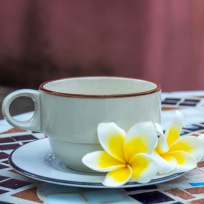 cup and saucer with plumeria