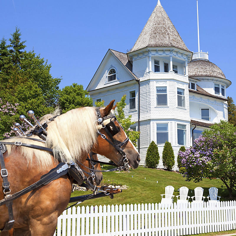 Horse along road passing Mackinac Island West bluff victorian cottage