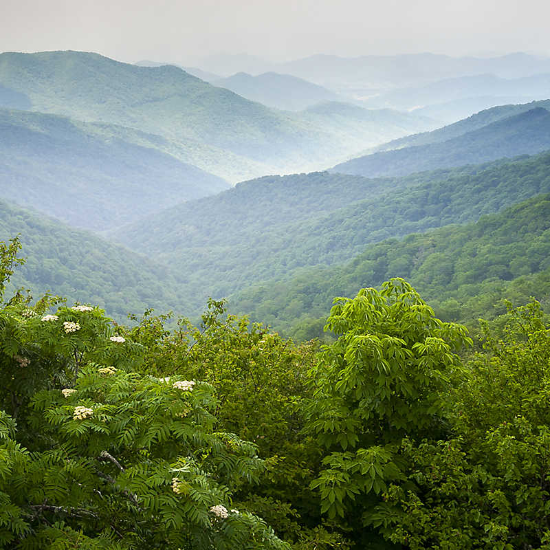 Scenic view of the grassy hilltop of the Smokey Mountains 