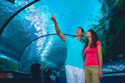 Couple in aquarium tunnel at Myrtle Beach Aquarium