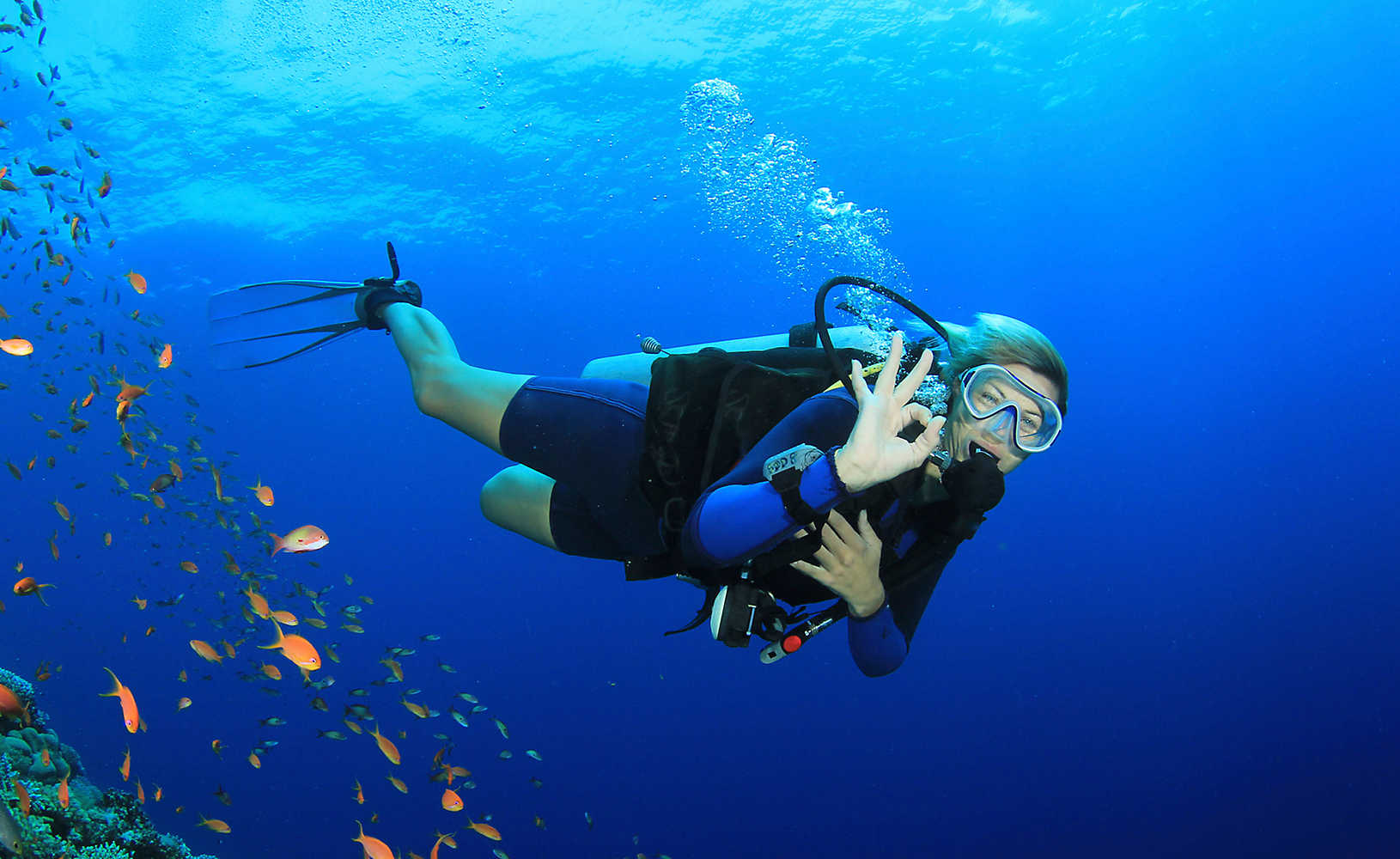 Woman exploring coral reef during scuba diving  