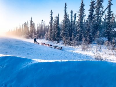 alaska glennallen musher guides dogs on the trail