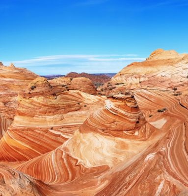 Arizona desert