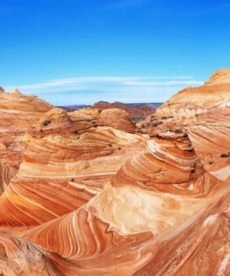 Arizona desert