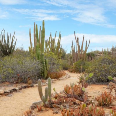 Arikok National Park