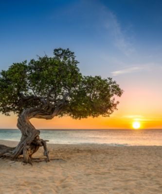 Oranjestad, Aruba