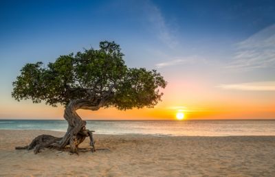 Oranjestad, Aruba