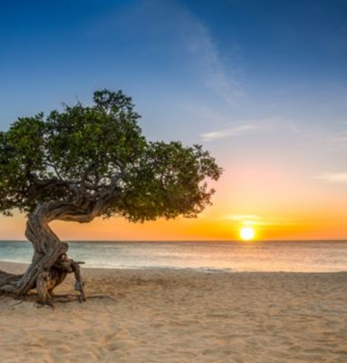 Oranjestad, Aruba