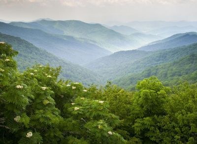 Bluegreen Destinations