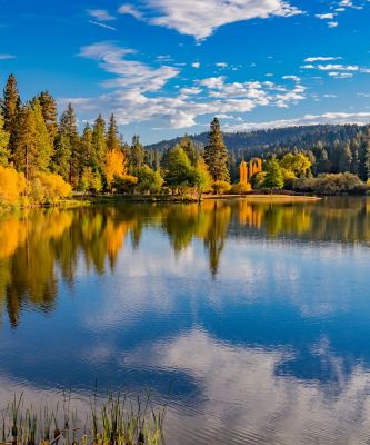 Vacation in Big Bear Lake, California | Bluegreen Vacations