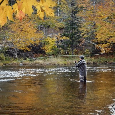 California Big Bear Lake Fly Fishing in the fall