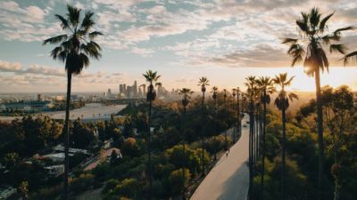 california los angeles palm tree lined street sunset
