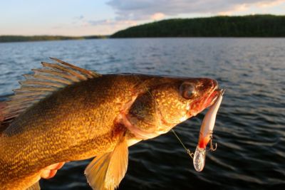 Young's Wilderness Camp fishing in Canada