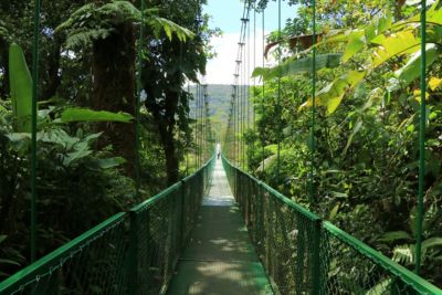 Costa rica monteverde forest of the hanging bridges