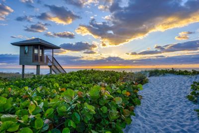 Florida Delray Beach Sea Grapes Safe Guard Hut Sunset?$bg2 Hero Lg$