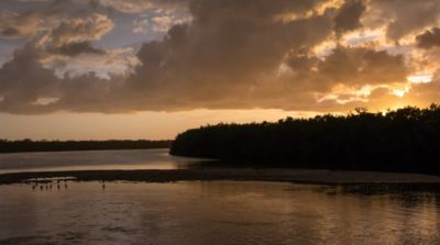  JD Ding Darling National Wildlife Refuge at sunset