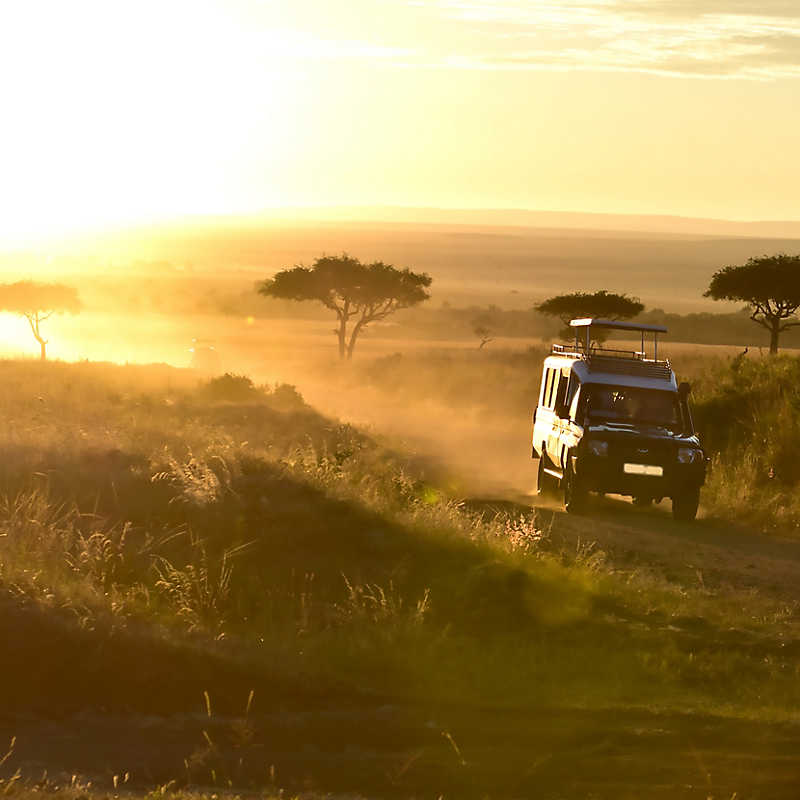 Tour vehicle at sunset with beautiful view of trees and wildlife