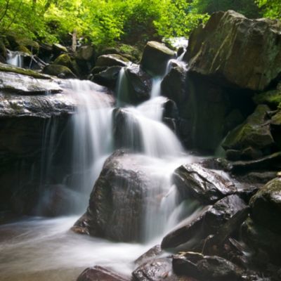Vacation in Marble Hill, Bluegreen Vacations