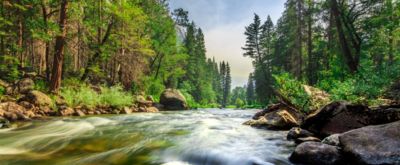 Vacation in Marble Hill, Bluegreen Vacations