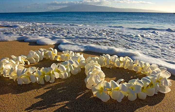 https://s7.bluegreenvacations.com/is/image/BGV/hawaii-beach-vacation-leis?$bgv-gallery-main$