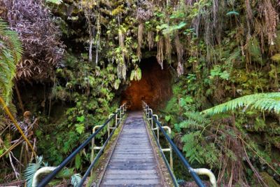 hawaii volcano national park big island lava-tube entrance