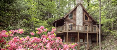 Rustic Family Getaway Cabin