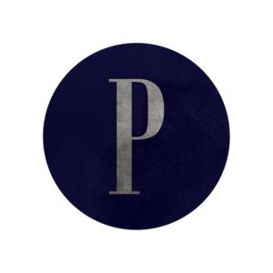 icon circle platinum