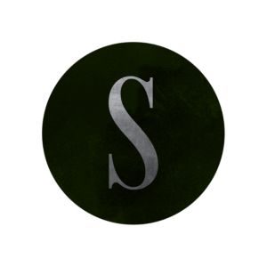 icon circle silver