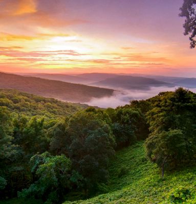 Vacation In Ozark Mountains Missouri Bluegreen Vacations