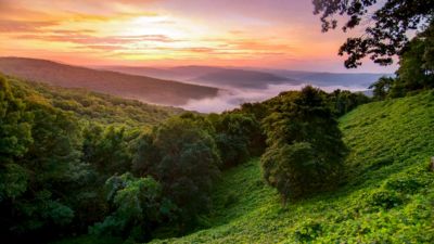 Overlooking the hillside in the Ozark Mountains during the sunrise. 