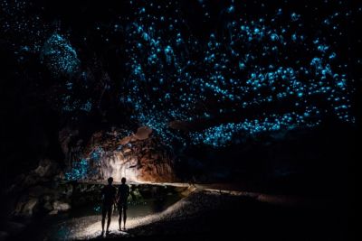 new zealand glowworm cathedral at end of waipu cave night