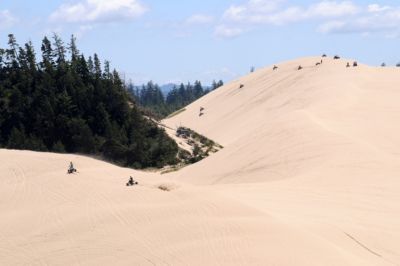 oregon winchester bay area sand dunes atvs