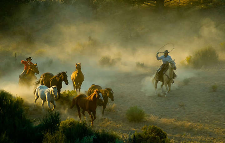 Image result for COWBOYS AND MOUNTAINS