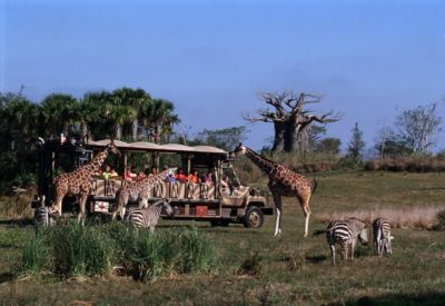 safari resort orlando florida