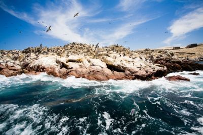 peru-crossbows-islands
