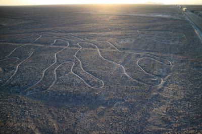 peru nazca desert ancient geoglyphs nazca lines called arbol