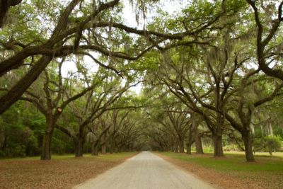 Enjoy Vacation In Savannah, GA | Bluegreen Vacations