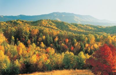 Smoky Mountains Vacation Packages Bluegreen Getaways