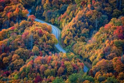 smoky-mountains-new-found-gap-fall-autumn-road