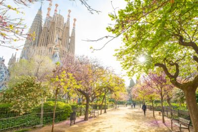 spain barcelona spring garden in city centre