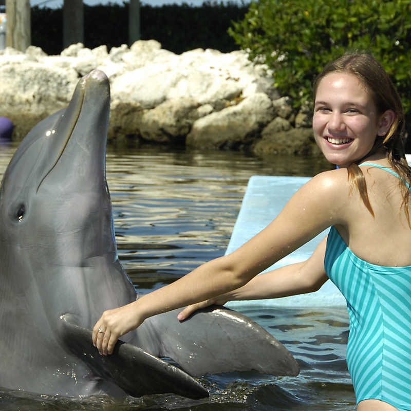 Girl with dolphin