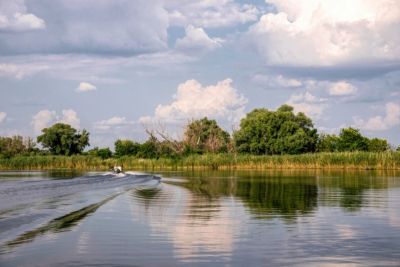 tourists on motor boat swampy-riverbanks
