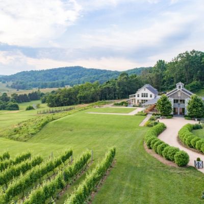 virginia gordonsville pippin hill farm drone view