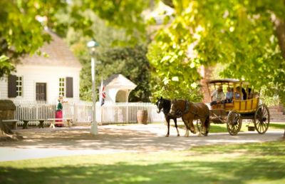 Virginia Williamsburg Horse Drawn Carriage Tours