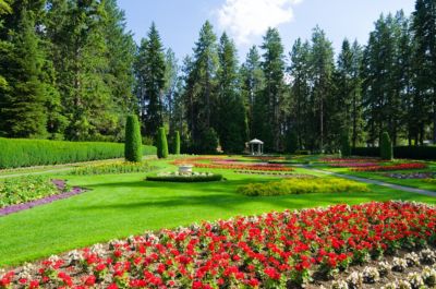 washingto spokane flowers bloom duncan garden at manito park