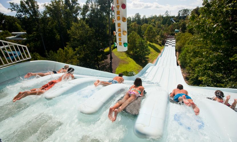 Busch Gardens Williamsburg Vacation Bluegreen Getaways Busch Gardens Williamsburg Vacation Bluegreen Getaways